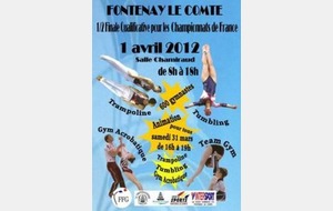 Zone Teamgym à Fontenay le Comte 1er Avril