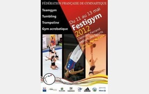 Championnat de France Teamgym 2012.