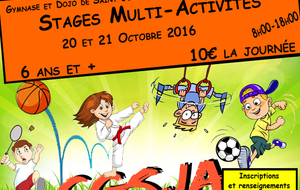 Stages Multi-Activités Toussaint 2016
