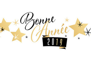 Bonne année 2019 