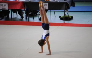 DSC_1412.jpg
