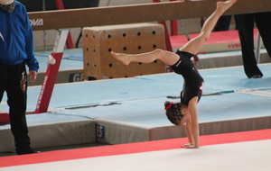 5113bdc2e2a51_IMG_5502.JPG