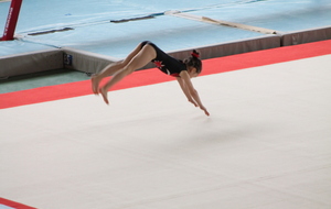 5113bde16f940_IMG_5543.JPG