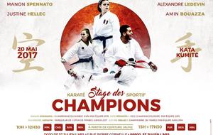 Karaté - Stage des champions