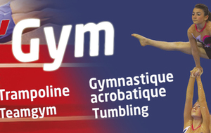 TeamGym - France