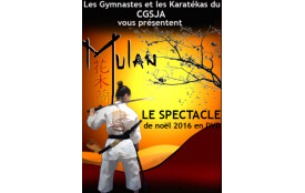 DVD Mulan