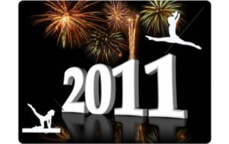 Bonne année 2011 !
