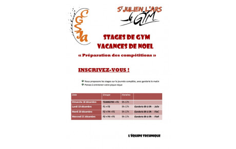 Stages &quot;Compétition&quot;  - Vacances de Noël
